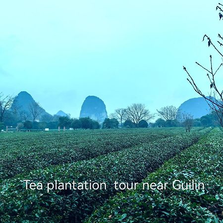 Guilin Village Creek Inn-Free Private Car Pick Up Station Stay 3 Nights מראה חיצוני תמונה
