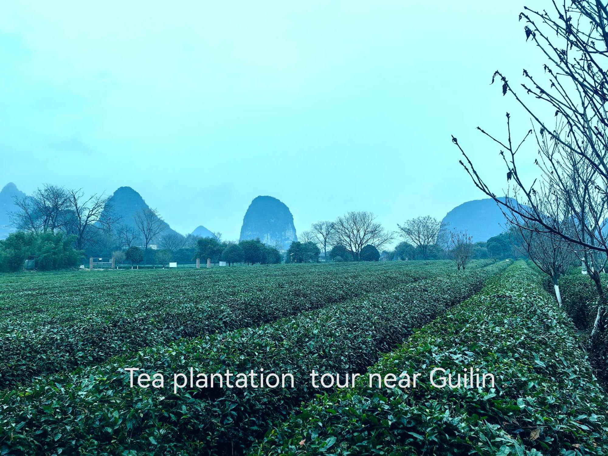 Guilin Village Creek Inn-Free Private Car Pick Up Station Stay 3 Nights מראה חיצוני תמונה
