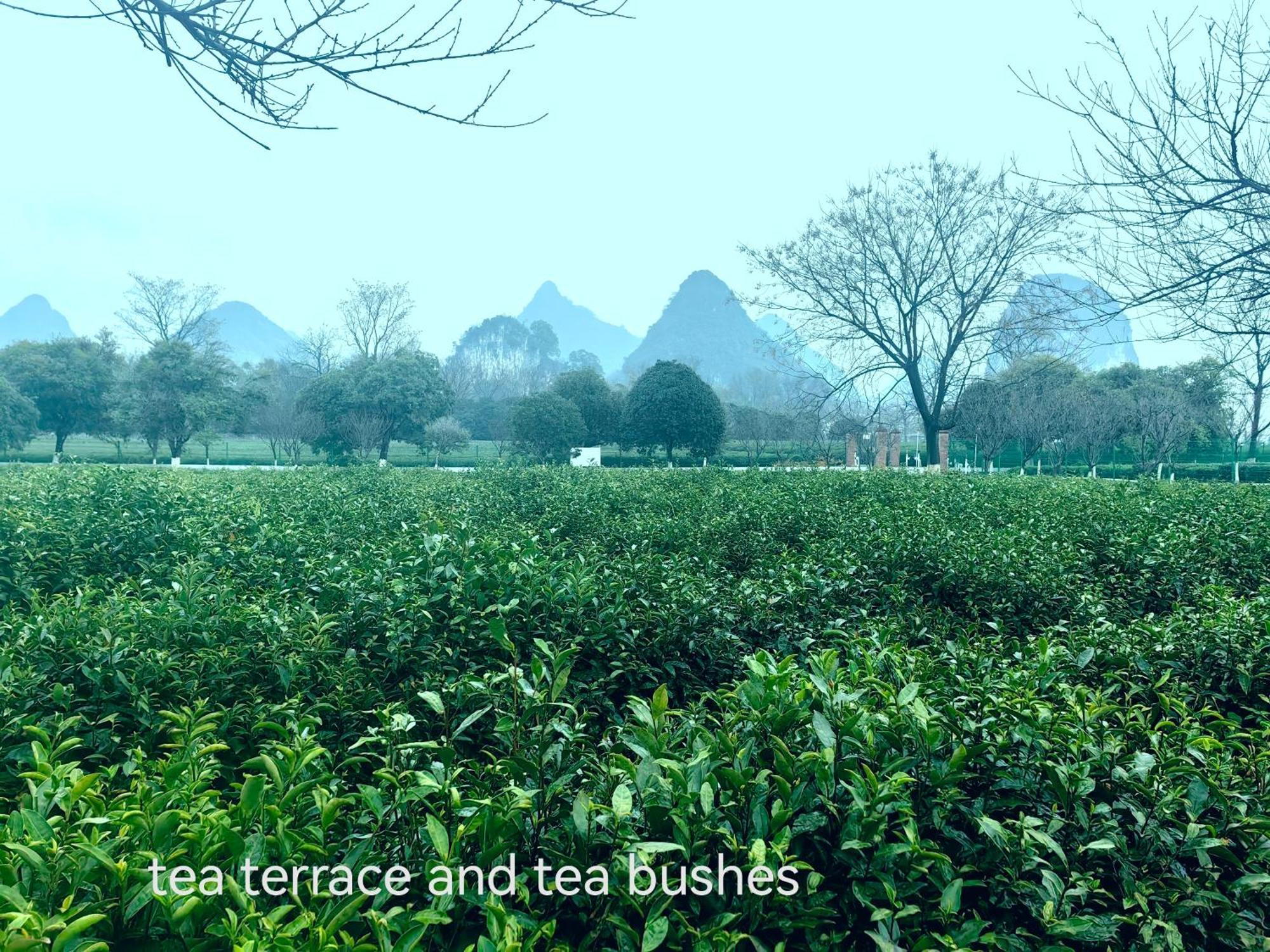 Guilin Village Creek Inn-Free Private Car Pick Up Station Stay 3 Nights מראה חיצוני תמונה